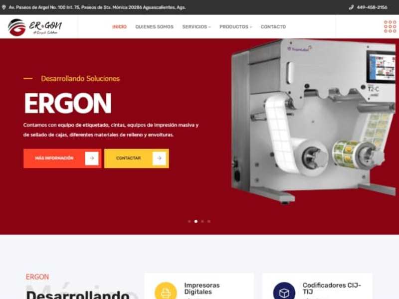 paginas web profesionales leon guanajuato