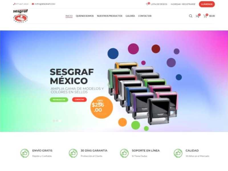 paginas web ecommerce leon guanajuato